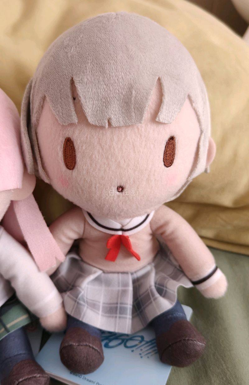 到了一箱毛绒，这次走的EMS，速度很快几天就到了，玩偶收到手也没有什么损伤，很满意，下次还会回购的。