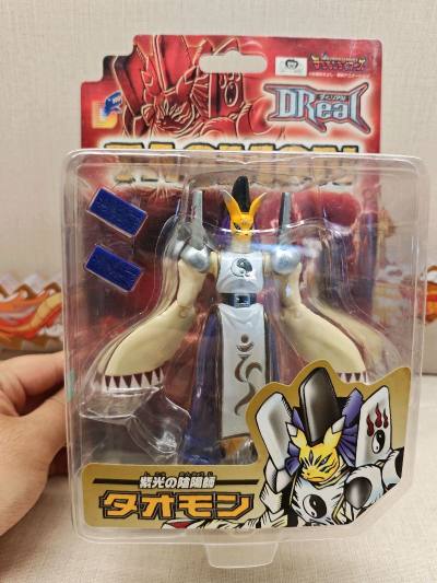 任意门秋季第六单