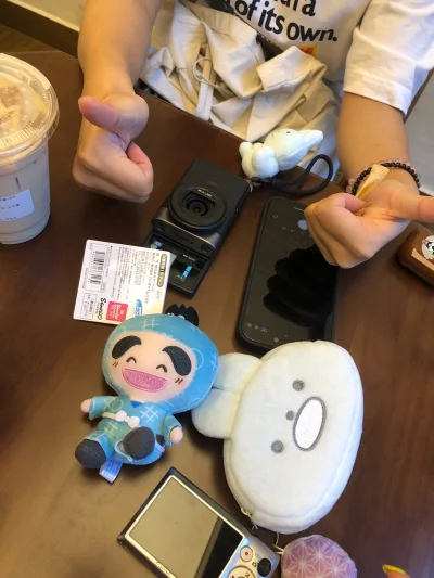 在骏河屋买了西施惠，特别萌，而且价格友好。还淘了一些小挂件！非常萌之。又是发呆兔，角落生物的吊牌做的也很可爱！