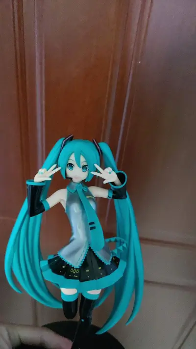 挖煤姬平台东西丰富，能遇见自己喜欢的东西，这次购买我喜欢初音未来手办，选择走拼团，20多天就到达，包装非常好无损坏，体验感非常好。