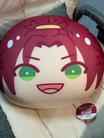 本来还担心骏河屋看不到状态会给我发个旧旧的，没想到竟然超级新啊啊啊，还有吊牌！超级超级厚实啊啊啊啊啊！