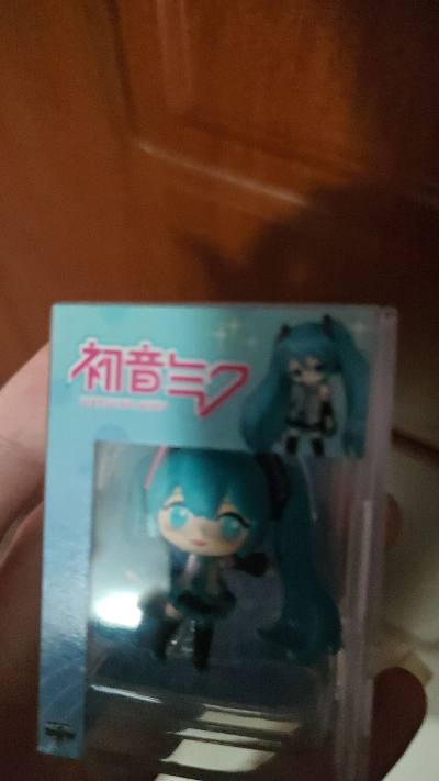 我在挖煤姬 ，看到非常小初音未来小手办，果断拿下，选择竹蜻蜓专线走，大概二十多就到了，包特别好。