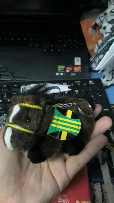 こんなに順調に進むとは思っていませんでした，とても良いショッピング体験，とてもイケメン，ほとに ありがど! 