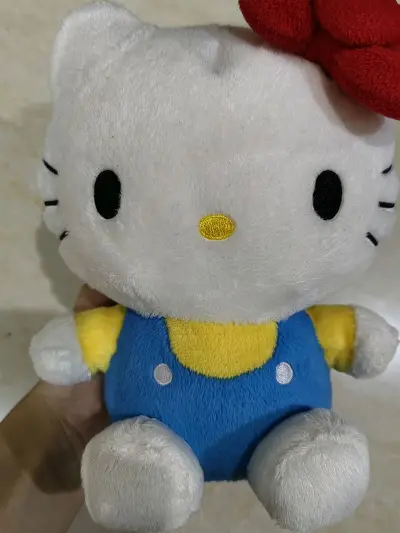 这次走的是海运，意料之外的17天就到了还是蛮快的！收到了可以的娃，超级开心～娃超级可爱脸很正！爱了爱了～