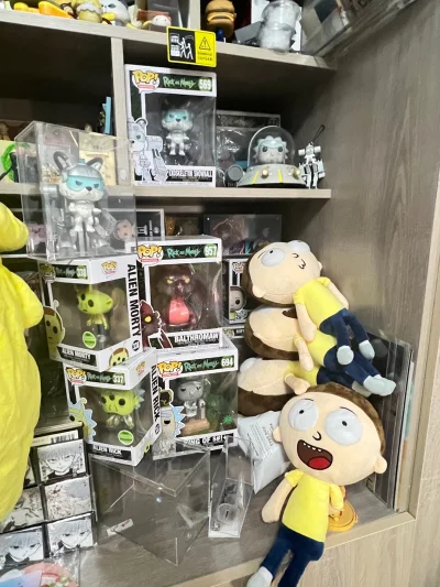1.入手了 FUNKO POP 568 Berserker Squanchy 和 346
Squanchy with rope
2.再次回购了shein Rick and Morty 大脑零钱包
去年的臭脸姥爷深得我心！今年姥爷的头发是贴片不是
去年的充棉，虽然打开...