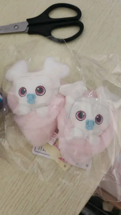 谁懂啊！切到好价的快乐！130两只的达不理就这么水灵灵的到我手上了，59两张的特典卡国内一张50+了呜呜呜，太幸福了