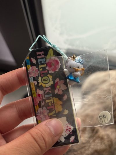 这次入手的超级可爱Kitty小物，必须给满分好评！首先颜值直接击中少女心，粉糯配色+精致做工，连包装盒都印着蝴蝶结，拆开瞬间被治愈。价格更是惊喜，平台限时券后比代购便宜近一半，现货秒发不用苦等，真正实现“好价”自由。物流体验感拉满，最打动我的是客服态度，咨询也能41...