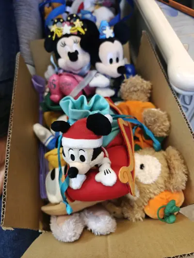 太不错的购物体验?️可以淘到很多独特的，意想不到的玩偶。每次期待收货的时候，都是很幸福的一件事！继续等待我的下几批好物。