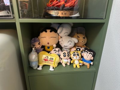 被岛内运费背刺了兄弟们 国际运费还没岛内运费贵
但速度非常给力
玩具整体的质量也还可以 除了个别有污渍
整体来说还算划算