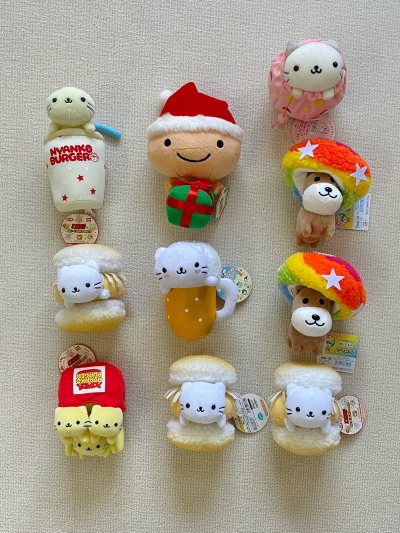 有如此美而萌之的点心猫进入我家