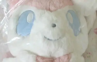 本来想在宝上海抢的，结果蹲点还是秒没，怒转pco结果也限购，幸好日亚还有，果断下单。萌萌哒，吊牌是彩牌。不愧是人气王。