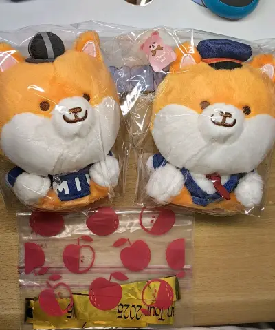 走的竹蜻蜓plus路线，包税包清关，从国际发货到收到货物一切都很顺利！商品也完好无损！很好的卖家，很好的代切平台！