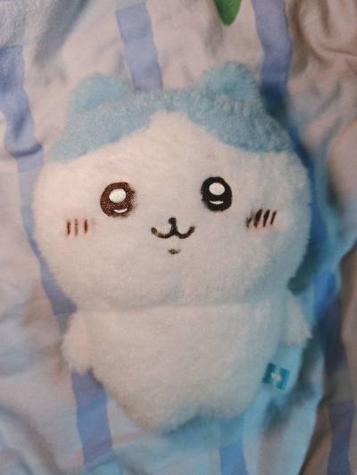 又在买到了很多梦情