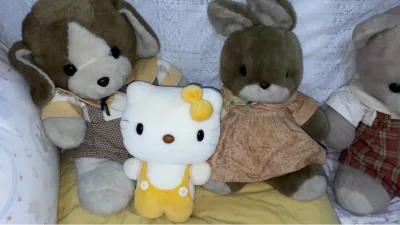 逛雅虎日拍的时候看到了的如此可爱的昭和复古玩偶没忍住库库一顿下单，实物到手着实可爱！！！每一只状态都保护得很好，合单打包也保护得很好，太赞啦