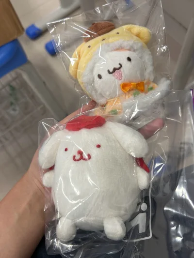 刷到这款玩偶瞬间被种草，圆润造型和手工刺绣细节直击心灵！收到实物更惊喜，实在太可爱了！这份温暖陪伴，彻底超出期待值！物流走竹蜻蜓专线，速度也挺快的～