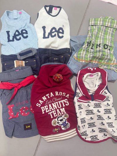 Petparadise衣服太适合修勾