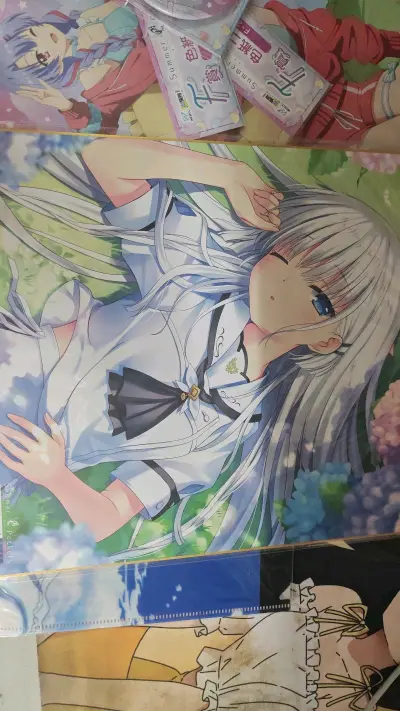 暑假的时候有一个国内买不到的，只有日本有，所以下载了挖煤姬试试，结果体验太好了，下单迅速，物流快保护还好，运费没想象中那么贵，而且这次商家还多发一个色纸，真是完美购物?，好美好美