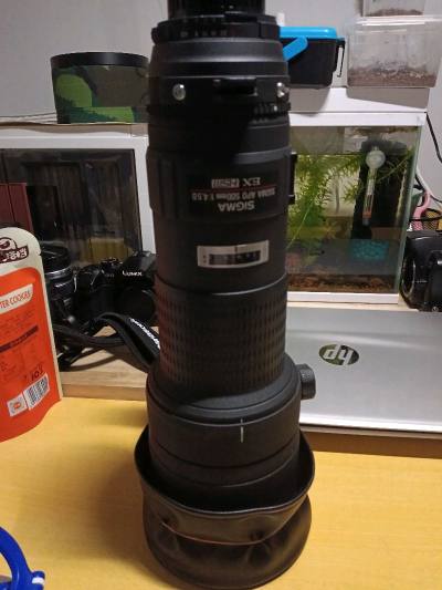 像平日一样打开任意门闲逛，无意中发现一支仅售两千多的适马EX500定大炮，甚为惊喜，恰逢任意门九折优惠，遂剁手拿下，收货包装完美无损伤，值得推荐～