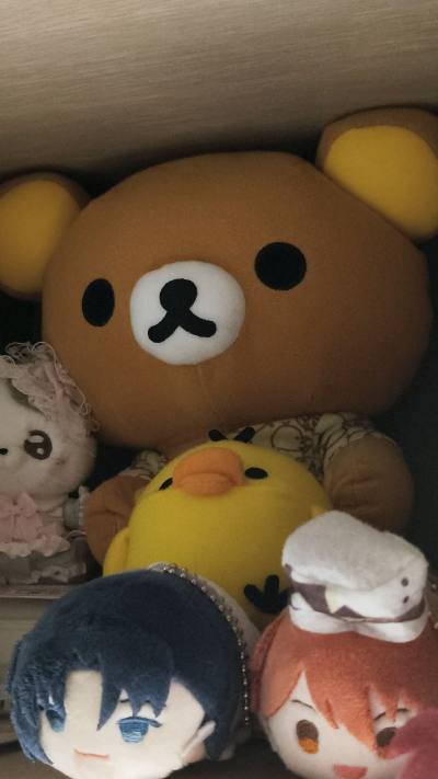 终于收到了从海外漂洋过海来的轻松熊和小宝们！等待是值得的，实物比图片上还要可爱一百倍！毛毛超级柔软，摸起来非常舒服，填充得也很饱满，抱着超有安全感。背带裤的细节和屁股上的小尾巴都做得非常精致，完全没有线头之类的瑕疵。把它放在床头或者沙发上，感觉整个房间都变得温馨可爱...