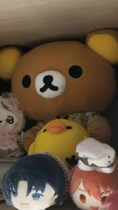 终于收到了从海外漂洋过海来的轻松熊和小宝们！等待是值得的，实物比图片上还要可爱一百倍！毛毛超级柔软，摸起来非常舒服，填充得也很饱满，抱着超有安全感。背带裤的细节和屁股上的小尾巴都做得非常精致，完全没有线头之类的瑕疵。把它放在床头或者沙发上，感觉整个房间都变得温馨可爱...