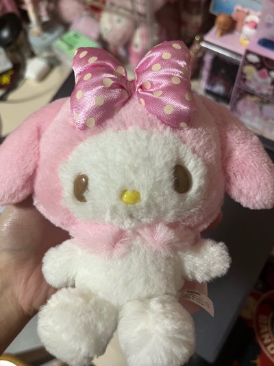 这次买了美乐蒂的中古手帕和美乐蒂的超可爱手机壳，收到箱子包装很好，物流也很快速，价格也有优惠，总的来说体验感不错