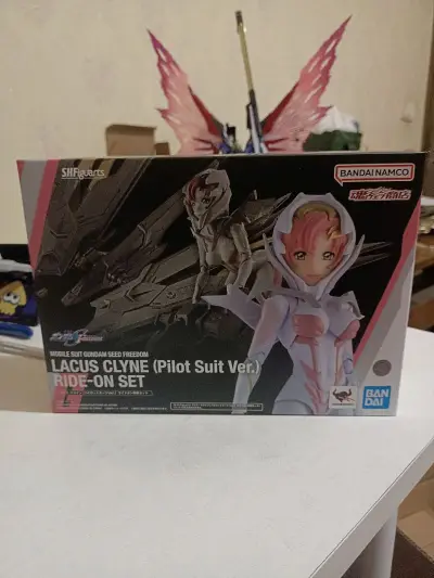 雅虎日拍好价捡漏的shf拉克丝驾驶服实在是太香了直接走包税线包邮到家又分便价格也不错 ，物流速度也不错打包也很结实