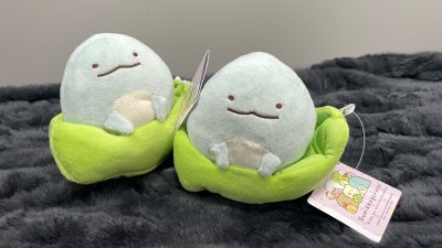 这次收到了很可爱的豌豆水龙!