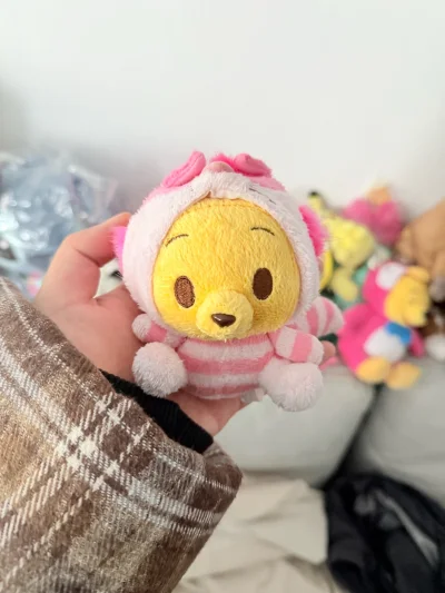 太懂我们迪士尼爱好者的心了！挖煤姬上蹲日拍绝版米老板，小熊维尼简直像开盲盒一样惊喜，中古款都可爱到犯规。物流省心价格友好，每次拆包裹都像收到迪士尼朋友寄来的明信片，赞赞，以后会继续使用～