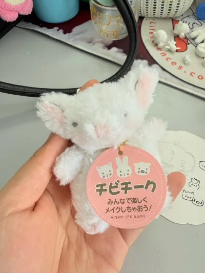 在挖煤姬淘迪士尼毛绒真的会上瘾！每次都能捡漏到日本限定的崽崽，品相新还带吊牌，比官方便宜不少。从下单到到手全程无忧，拆开包裹那刻简直快乐到转圈圈，不愧是海淘迪士尼的宝藏APP！