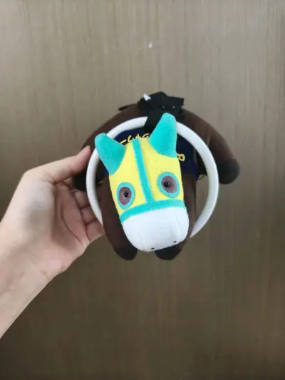 收到了满满一大箱小马 奇奇怪怪什么都有 成色都超出意外的好 都好喜欢都是没有见过的!推荐推荐竹蜻蜓安全到家第一名!