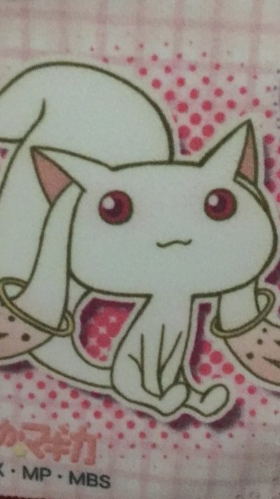 淘到了超可爱的周边