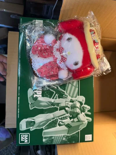 第一次在挖煤姬切煤，赶上了9.3折的煤炉优惠！自己心心念念的毛绒用了券之后价格特别特别划算❤️正好切的时候快到对象生日了，又切了一箱高达模型送给他当生日礼物，两个物品一起打包合箱寄回来的，买了拍照服务会很细心的拍好东西的细节，我选择了日本ems快递，国际邮费用了积分...