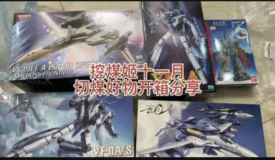 挖煤姬是一款非常好用的海淘软件，经常会有各种不同的优惠券，每隔几天都会发放一批新的优惠券。而且操作简单易上手，还有积分抵扣国际运费的活动。我依旧是选择海运的运输方式，从发货到签收只用了20天左右，对这个时效超级满意。
这次在挖煤姬app切的全新超时空要塞拼装模型五件...