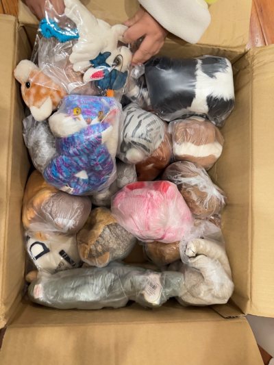 任意门海淘NO.28单