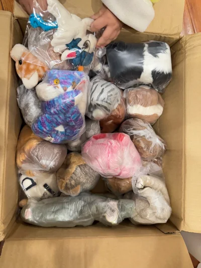 这次淘到一单很可爱的ty小动物，还有一个法国豆豆家的小熊扁扁安抚，都好可爱~打包的很好，连每个吊牌都包裹的很好~