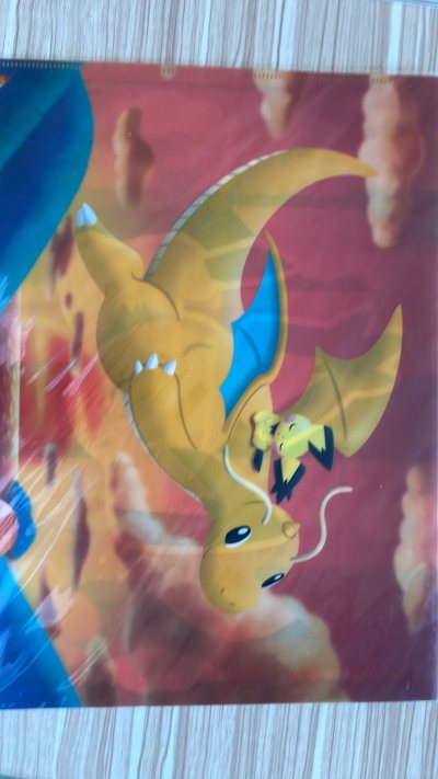 宝可梦文件夹 sleep 系列 快龙 卡比兽 皮丘 早年老物 感谢挖煤姬帮我切到 物流运输完好没有折痕，希望以后还能用挖煤姬切到好看文件夹