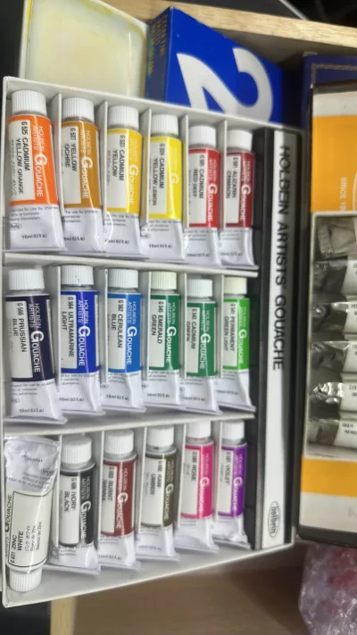 日系颜料控直接狂喜！在挖煤姬蹲到荷尔拜因全家桶+文房堂调色盒，购物体验拉满，500字纯干货分享～

选品时一眼锁定荷尔拜因：5ml水彩适合新手/写生，15ml大容量囤常用色超划算，水粉的丝绒质感是意外惊喜，关键价格比国内低30%-50%，全新未开封款性价比绝了！特意...