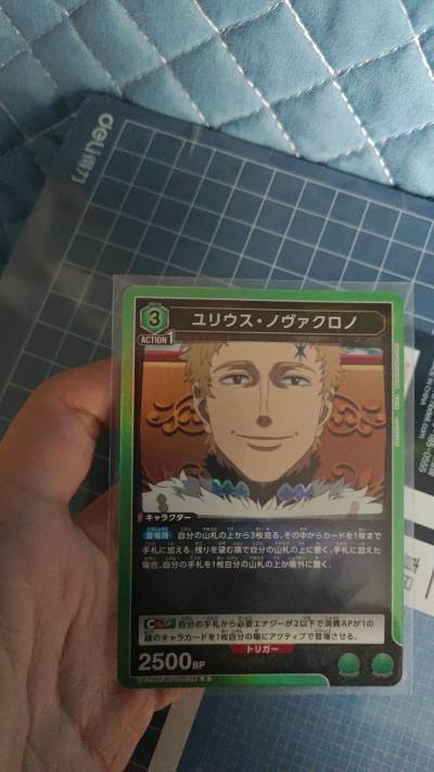 一次在挖煤姬上海淘，非常很省心省力，基本和在国内购物无异，买的黑色五叶草的卡片到手时品相很好没有损坏，总之是非常好的体验