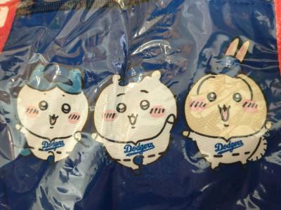 买一些大玩偶，因为是下单秒切所以不用担心被别人抢先，安心吃到了好价!物流走的竹蜻蜓，包税是非常好的，用时两周左右。今天收到后开箱发现物品摆放整齐，外围裹了泡沫纸防震，每一个物品都完好无损(▽｀)。购物体验感非常好!有什么问题客服也能帮忙积极解决。