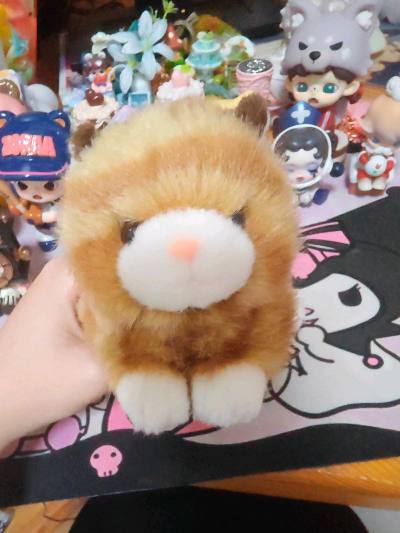 挖煤姬第八十六单航空件