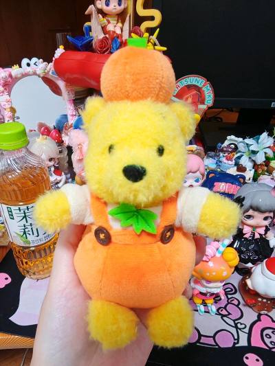 10.18号发出，11.12号收到，共计25天。重量9100g，日本国内+国际运费448r。这只25年万圣节的南瓜噗噗巨可爱！胖乎乎的一只崽～超爱它！最近海运也挺快的，很棒的一次购物体验！