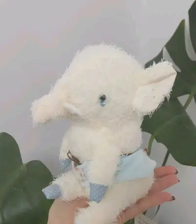 这一批直接萌化了  都是超可爱的宝宝们 手感也很好 保存完好 发货也尽量压缩打包 节省运费 值得推荐!