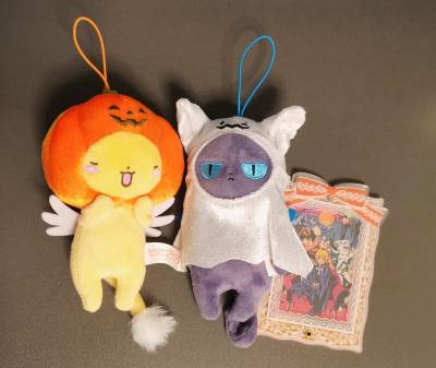 第一次使用切煤软件，操作很方便搜索也比较准确，而且不需要自己进行很多复杂的操作，每周还可以领优惠券和免手续费券，物流也很快！