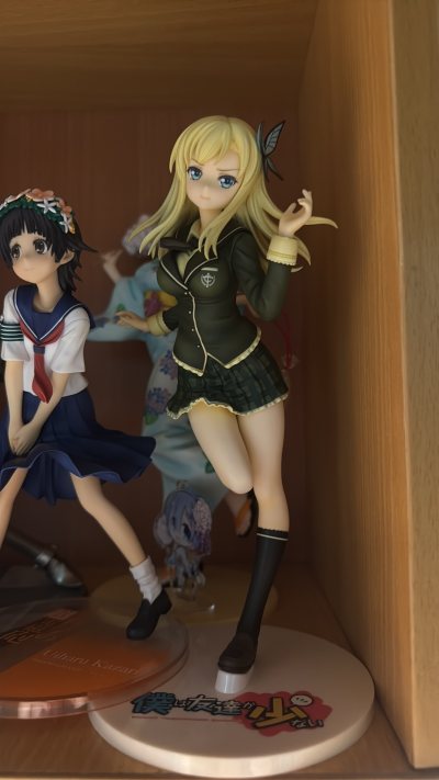 在雅虎日拍上拍到的两个手办，一个战场原黑仪，一个柏崎星奈，成色都非常好基本无暇，快递保护措施十分到位，盒子无磕碰