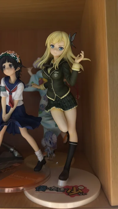 在雅虎日拍上拍到的两个手办，一个战场原黑仪，一个柏崎星奈，成色都非常好基本无暇，快递保护措施十分到位，盒子无磕碰