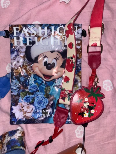 特别喜欢米妮这套冬服…还有这个草莓的相机带！国内找了半天0人出…幸好在煤炉切到了…！还有只有日本有的jins联名眼镜盒，上个月去日本他们说不单独出售所以我只能在煤炉切了…！喜欢喜欢！