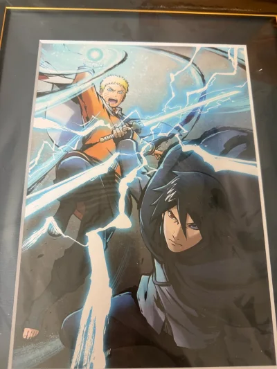 惦记这个挂画很久了，但一直没有好价，鱼上价格也不美丽，赶上了个好价和折扣券直接入了，走竹蜻蜓邮费也便宜，包装很好无损收到
a店特典也很美