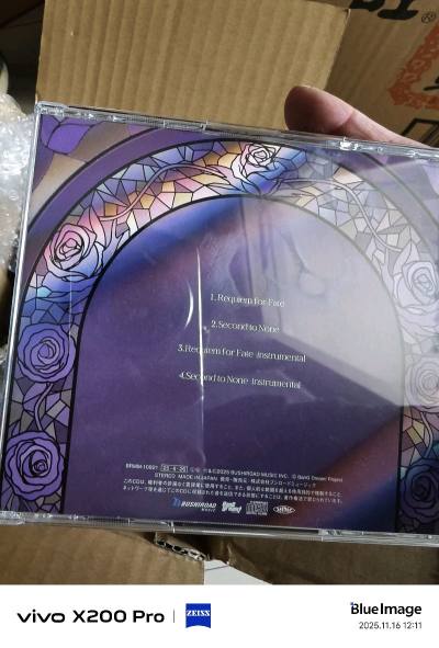 纯木柜子加音乐发烧友，不得不说日淘中古的价格比闲鱼便宜太多了，叠了几张以后邮费平均也不高，hd660s2配达音科cd机听乐队是真的很爽。该去听ygfn唱歌了