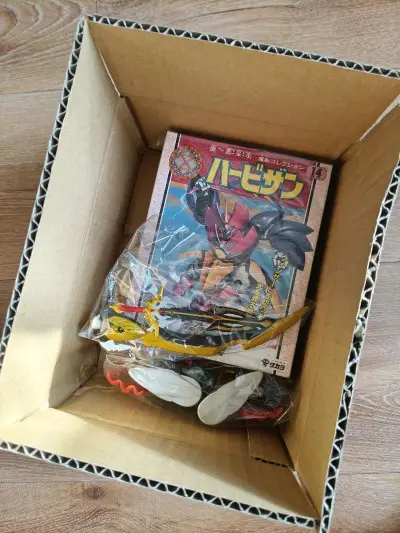 已经第二十二次在挖煤姬海淘了，最近件比较少，重量也不大，所以用竹蜻蜓来邮寄了，合单发货时间较长，但到货速度还挺快，还有货品从路上，期待中！