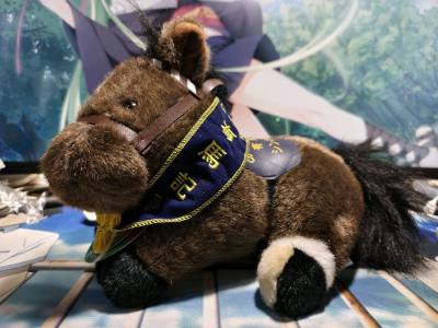 从日淘平台抱回一堆小马玩偶时，纸箱刚拆开就被毛茸茸的可爱暴击!最惊喜的是材质，摸起来像云朵一-样软fufu,放在手心能感受到细腻的绒毛质感，连接缝处都没有多余线头。等了半个月的物流在摸到它们的瞬间都成了值得的期待，现在每天回家都会先捏捏小马圆滚滚的肚子，把它们摆在床...